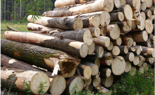 英威腾DSV200伺服主轴驱动器在旋切机上的应用