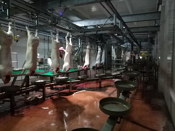 英威腾Goodrive35在生猪屠宰机械上的成功应用