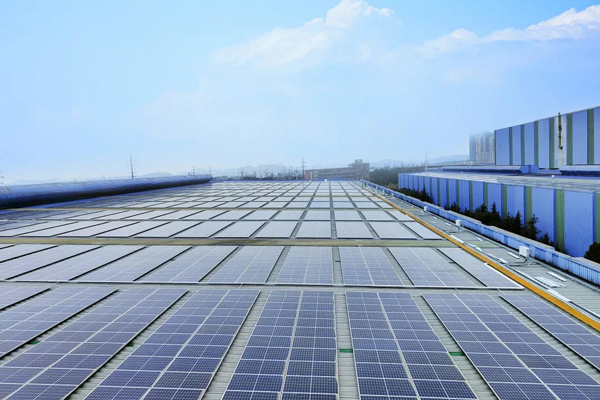 如何从碳交易中获益？这招最好用！