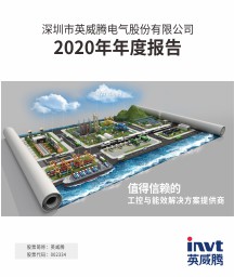 2020年年度报告