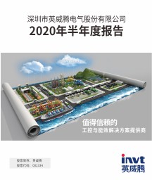 2020年半年度报告